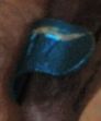 Bague chauve-souris GCP-017