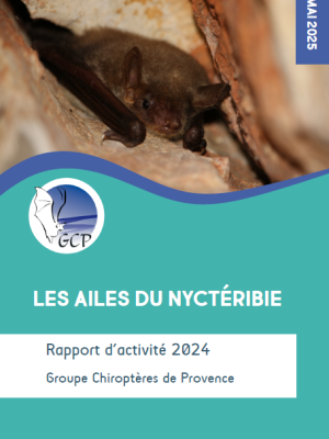 Capture-decran-2025-08-19-164144